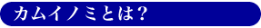 カムイノミとは?